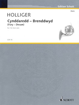 Cynddaredd - Brenddwyd (Fury - Dream) by Holliger Heinz for