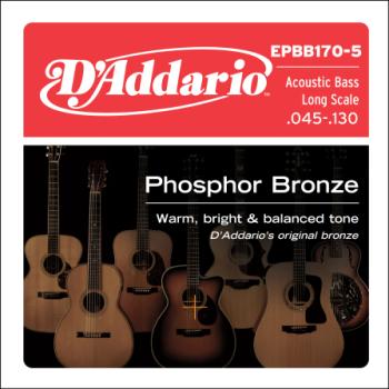 D'Addario EPBB170-5 Phosphor Bronze 5-String Acoustic Bass Strings, Long Scale, 45-130