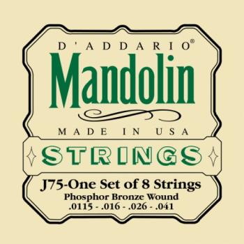 Mandolin Phosphor Bronze Med/Heavy String Set