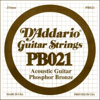 D'Addario PB021 Phosphor Bronze Wound Acoustic Guitar Single String, .021