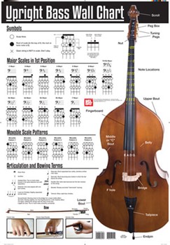 Upright Bass Wall Chart by for Poster