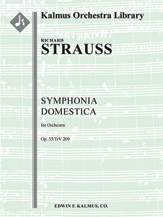 Symphonia Domestica, Op. 53/TrV 209 [3+Picc.2+EH+Obd'a.3+PiccCl+BCl.4+CBsn: 4Sax(S.A.B.Bs): 8.4.3.1: