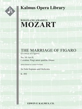 Marriage of Figaro, The, K. 492 (Le Nozze di Figaro): No. 10: Act II, Cavatina: Porgi amor qualche r