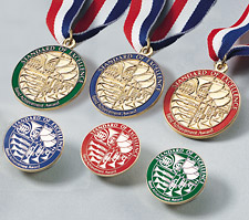 STANDARD OF EXCELLENCE BK3, AWARD PIN