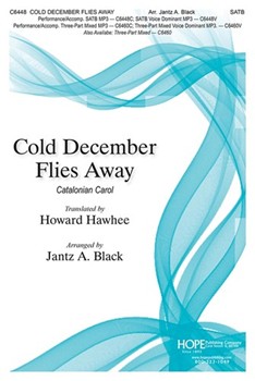 Cold December Flies Away