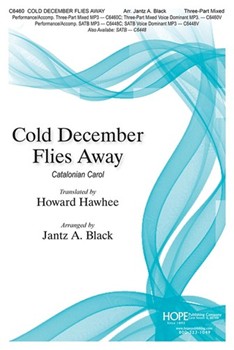 Cold December Flies Away