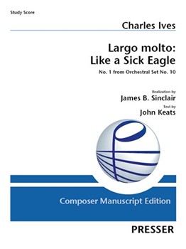 Largo molto: Like a Sick Eagle No. 1 from Orchestral Set No. 10