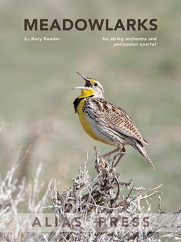 Meadowlarks