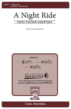 Night Ride by Courtney Vicki Tucker for TBB