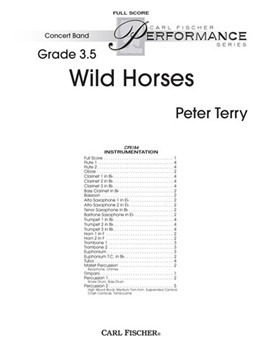 Wild Horses by Terry Peter for