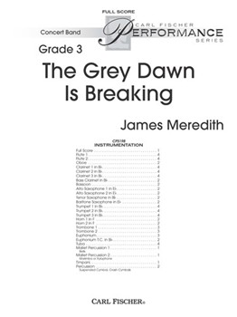 The Grey Dawn Is Breaking by Meredith James for