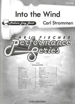 Into the Wind by Strommen Carl for