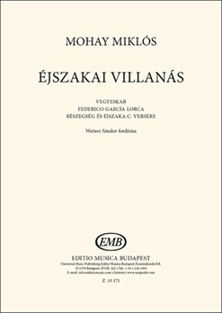 Ejszakai villanas