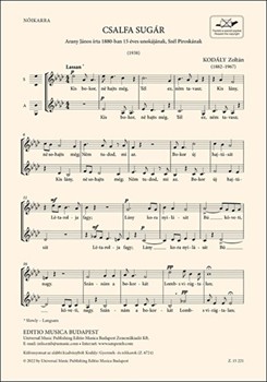 Csalfa sugar noikarra, ket szolamra