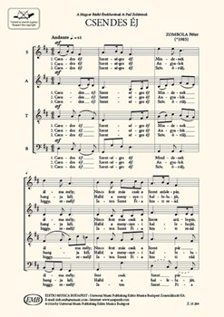 Csendes ej vegyeskarra