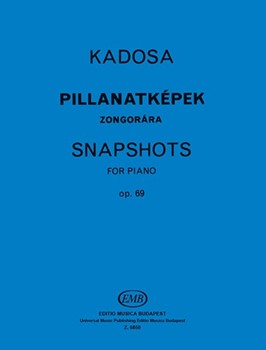 Snapshots for Piano