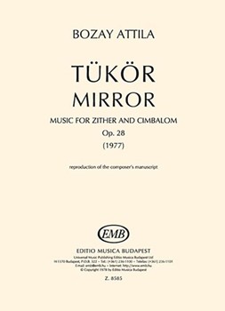 Mirror for zither and cimbalom
