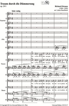 Traum durch die Dammerung op. 29/1