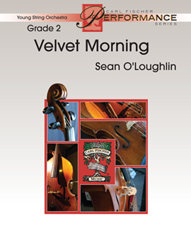 Velvet Morning - Orchestra Arrangement