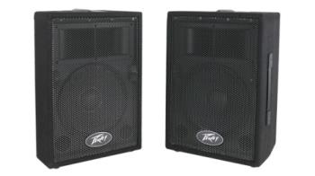 PEAVEY 00570810 PVI10 Speakers (Pair) With Cables