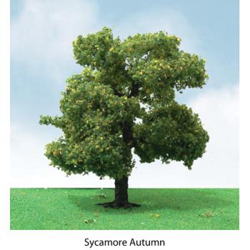 Jtt & Partners JTT92310 Pro-Elite Tree, Sycamore 3.5-4" (2)