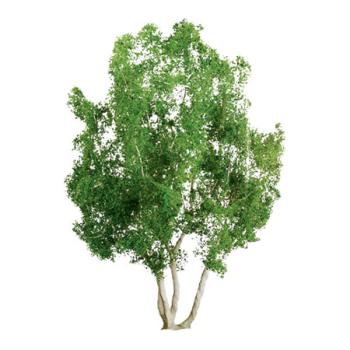 Jtt & Partners JTT94255 Professional Tree, Snow Gum 1.5" (4)