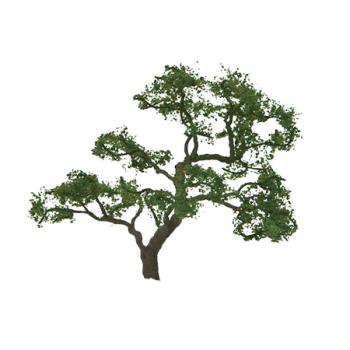 Jtt & Partners JTT94431 Professional Tree, Beech 3" (2)