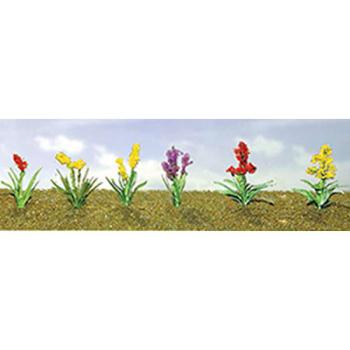 Jtt & Partners JTT95560 Flowering Plants Assortment 2, 3/4" (10)