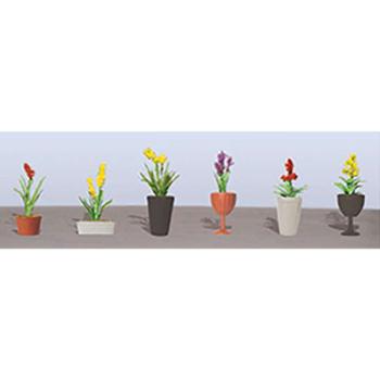 Jtt & Partners JTT95567 Flowering Potted Plants Assortment 2, 7/8" (6)