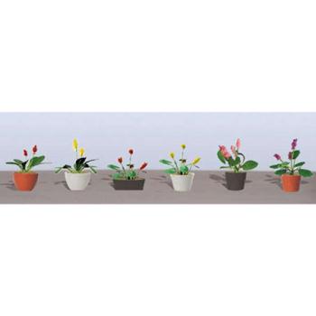 Jtt & Partners JTT95570 Flowering Potted Plants Assortment 3, 1" (6)