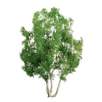 Jtt & Partners JTT96014 Professional Tree, Snow Gum 4" (2)