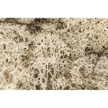 WOODLAND SCENIC WOOL166 Lichen Bag, Natural/82 cu. in.