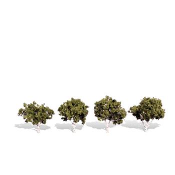 WOODLAND SCENIC WOOTR3533 Classics Tree, Waters Edge 2-3" (4)