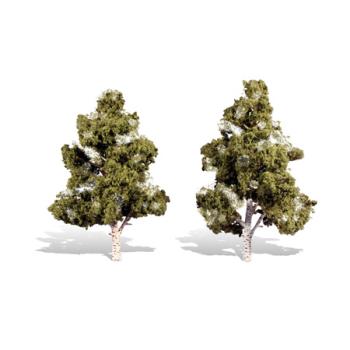 WOODLAND SCENIC WOOTR3538 Classics Tree, Waters Edge 7-8" (2)