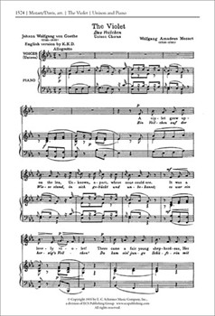 The Violet (Das Veilchen)