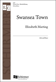 Swansea Town