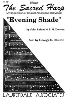 Evening Shade
