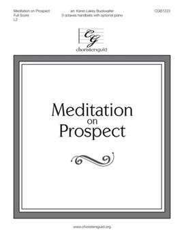 Meditation on Prospect - FS