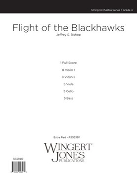 Flight of the Blackhawks
