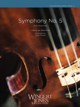 Symphony No. 5 First Movement